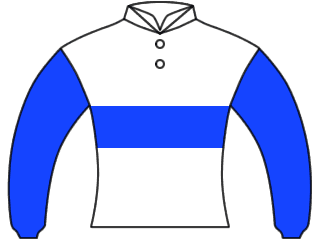 racehorse